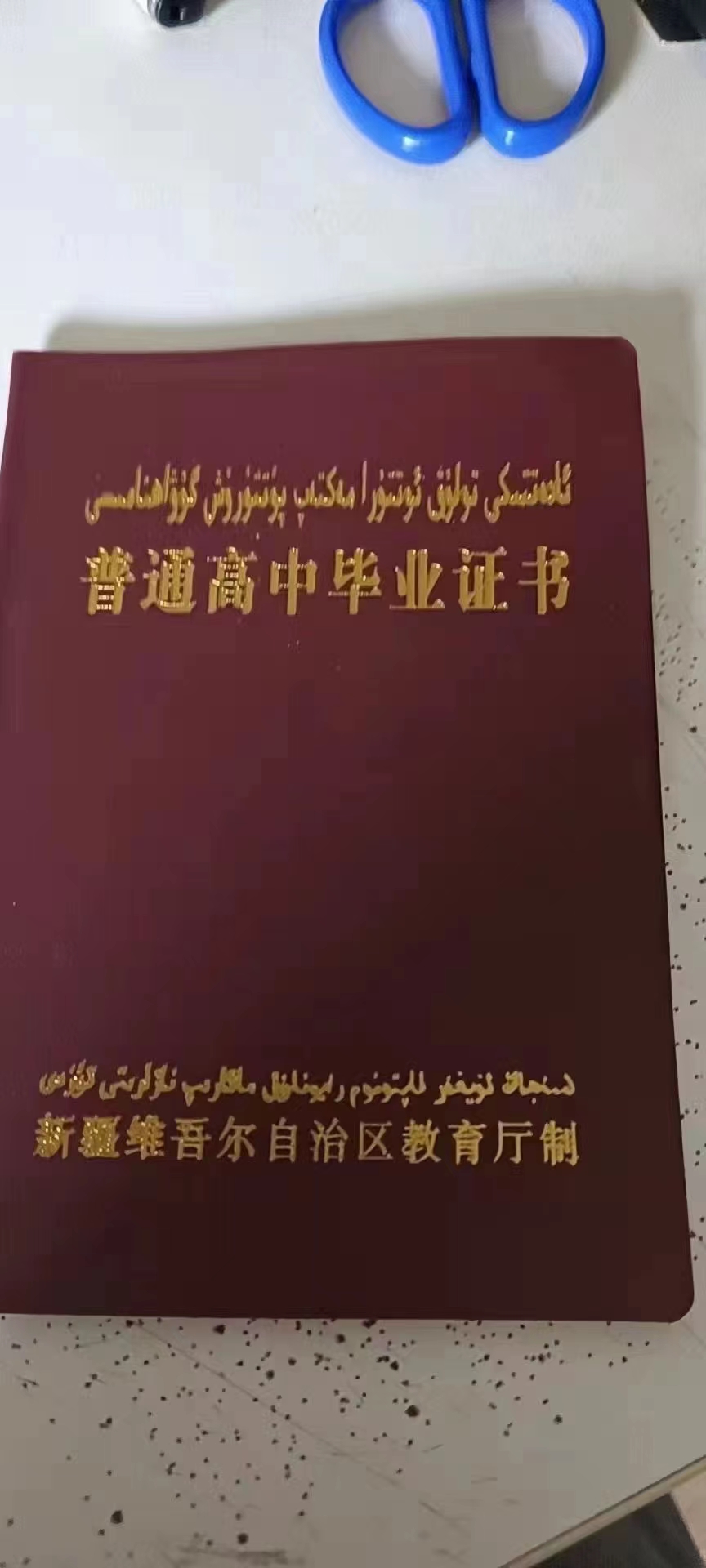1-23031G0312VU.jpg